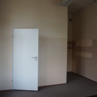 Lokal na wynajem