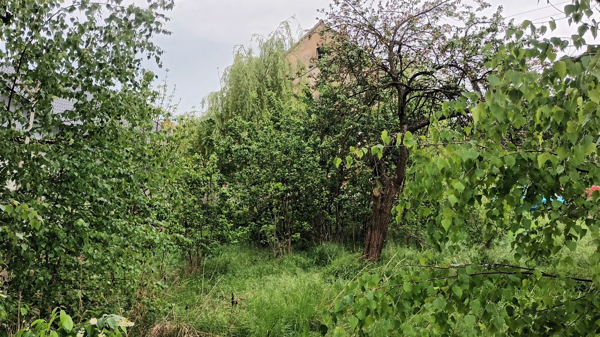 Dom na sprzedaż