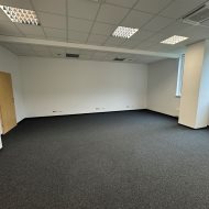 Lokal na wynajem